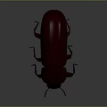 Detailed Dark Red 3D Beetle Model With Shiny Exoskeleton And Segmented Legs