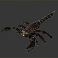 3D Rendered Dark Brown Scorpion With Claws Tail Stinger And Gray Gradient Background