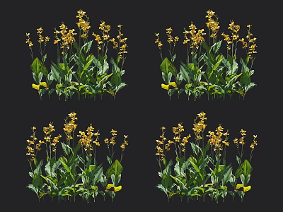 Lush Green Leaf Plant Clustered With Bright Yellow Blooming Flowers 3d model