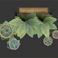 Potted Plants in Open Vintage Wooden Trunk with Small Flower Pots