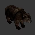 Realistic Brown Bear Standing On White Background With Detailed Fur And Posture