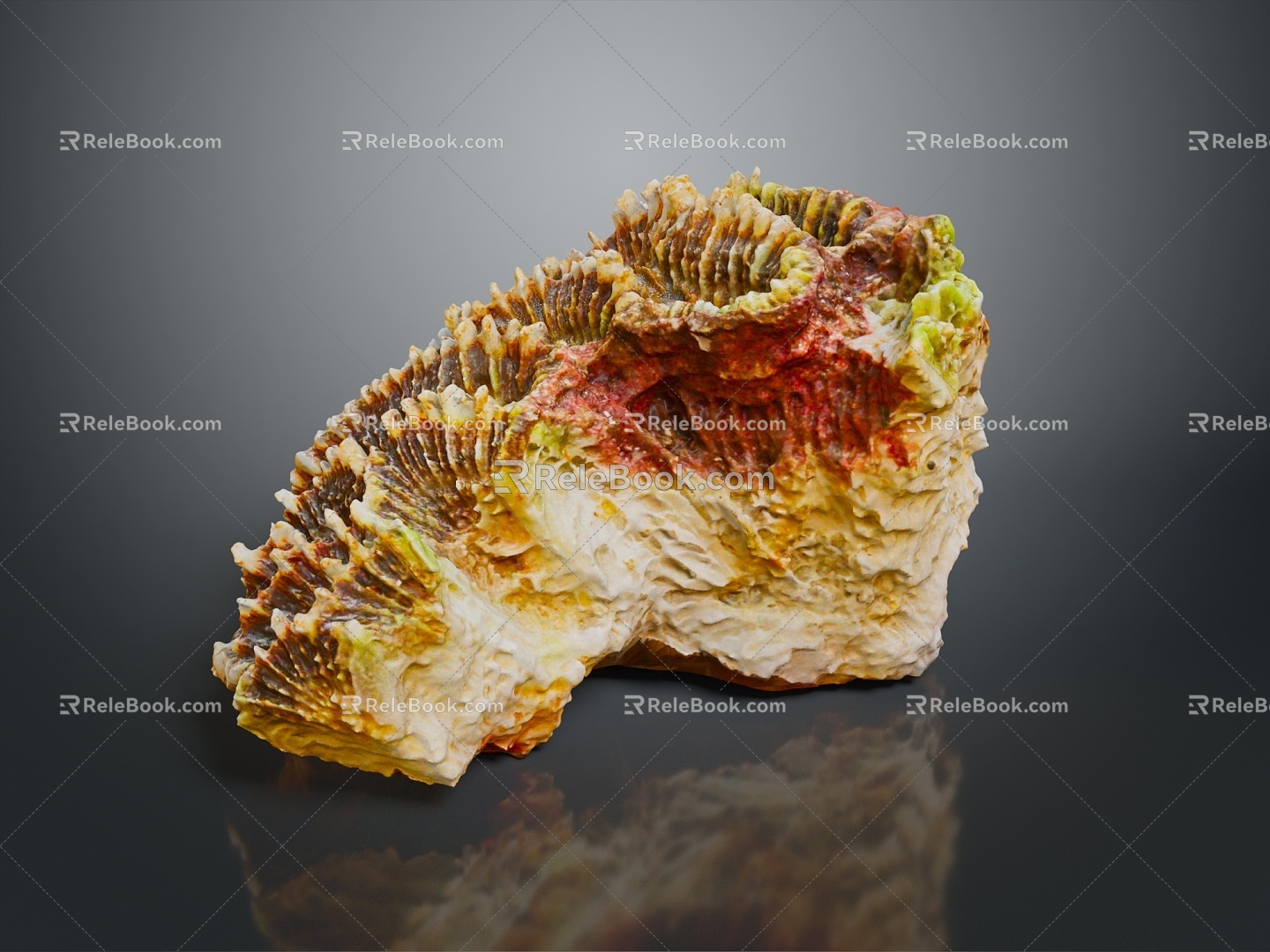 Coral Red Coral White Coral Blue Coral Gold Coral Black Coral Ball Coral Grass Coral Fine Finger Anemone 3d model