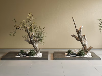 Natural Indoor Landscape With Driftwood Bonsai Square Base Small Stones And Green Plants 3d model