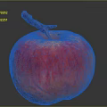 Shiny Juicy Red and Orange Apple with Stem on Dark Background