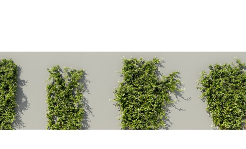 Modern Vine Climbing Vine Plant Creeper 3d model