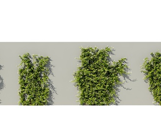 Modern Vine Climbing Vine Plant Creeper 3d model