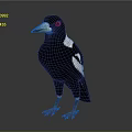 Black and White Bird with Green Beak Red Eyes Grey Claws Standing on Grey Background