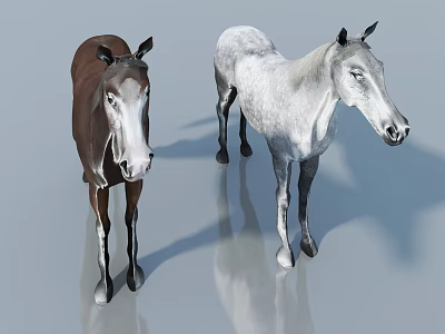 Two Reptiles With Brown And White Colors Standing On Reflective Surface 3d model
