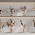 Dried Pampas Grass Arranged in Glass Vases on White Shelves with Natural Neutral Tones