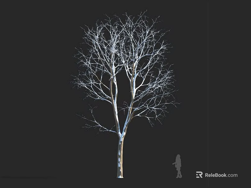 Tall Leafless Arbor With Human Silhouette On Black Background Showcasing Height 3d model 