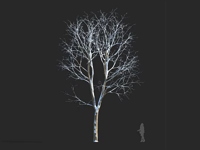 Tall Leafless Arbor With Human Silhouette On Black Background Showcasing Height 3d model