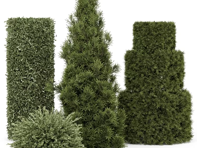 Green Plant Wall With Various Shaped Topiary Plants For Decorative Landscaping 3d model