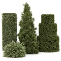 Green Plant Wall With Various Shaped Topiary Plants For Decorative Landscaping