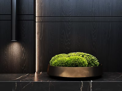 Bonsai Plant In Brass Pot On Marble Countertop With Dark Wooden Background And Lighting 3d model