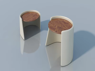 Modern Flush Door Design With White Frame And Natural Wood Surface 3d model