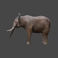 Elephant Game Movie Character with Large Ears Long Trunk and White Tusks