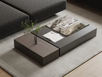 Modern Two Tone Coffee Table With Vase Green Plant Magazine Tray Cup And Plate 3d model