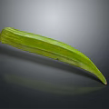 Fresh Green Okra Vegetable With Long Curved Shape And Smooth Surface 3d model