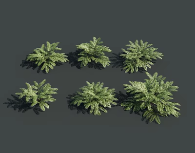Green Shrubs With Lush Foliage And Various Growth Patterns Arranged Together 3d model