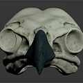 Detailed Bird Skull With Green Beak And White Bone Anatomical Structure