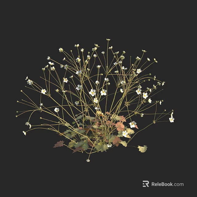 Clustered White Small Flowers With Slender Stems Green And Red Leaves Against Black Background 3d model 