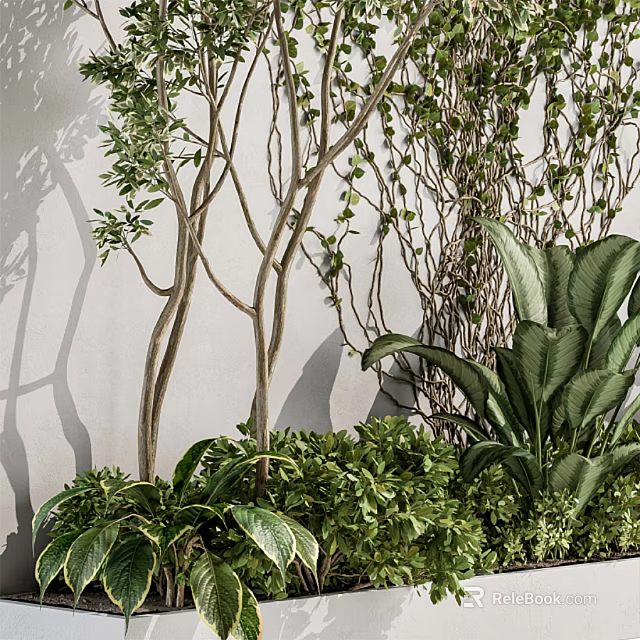 Lush Greenery Arrangement With Various Plants Vines And Leafy Branches Against Wall 3d model 