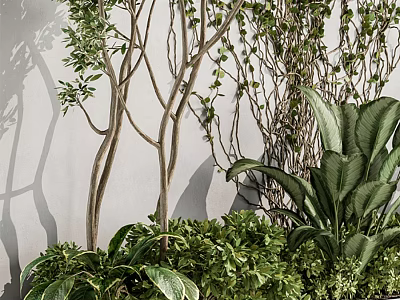 Lush Greenery Arrangement With Various Plants Vines And Leafy Branches Against Wall 3d model