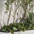 Lush Greenery Arrangement With Various Plants Vines And Leafy Branches Against Wall