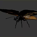Vibrant Orange And Brown Butterfly With Detailed Wings And White Spots On Dark Backdrop