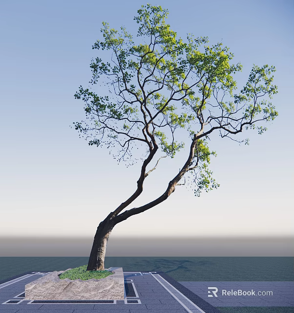 Tall Arbor With Curved Trunk And Green Leaves Against Blue Sky Background 3d model 