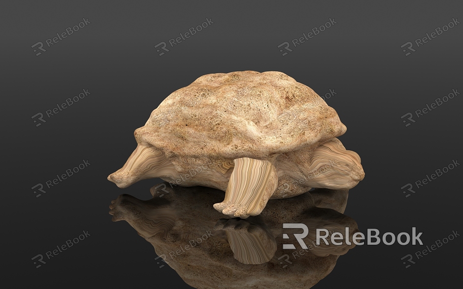 Tortoise Tortoise Tortoise Specimen Wood Carving Carving Biological Reptile Amphibian Display Popular Science Education Museum Zoo model