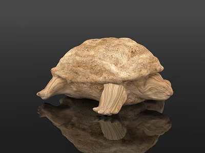 Detailed Wooden Turtle Sculpture With Textured Surface On Black Background And Reflection 3d model
