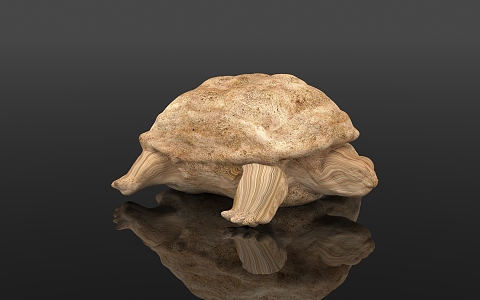 Tortoise Specimen Wood Carving Biological Reptile Amphibian Display Popular Science Education Museum Zoo 3d model