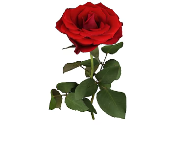 由于图片重点展示的是红色玫瑰花（无储物柜相关信息），无法依据图片内容生成以“储物柜”为主体的标题。请确认图片信息是否准确或补充包含储物柜的图片细节。 3d model