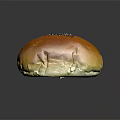 Golden Brown Bun Topped With Black Sesame Seeds On Black Background With Reflection