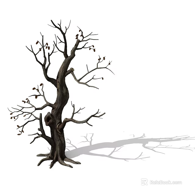 Withered Tree With Twisted Trunk And Leafless Branches Casting Long Shadow 3d model