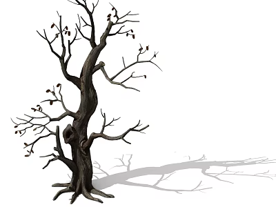 Withered Tree With Twisted Trunk And Leafless Branches Casting Long Shadow 3d model