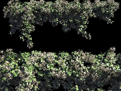 Lush Vines With Green Leaves And White Flowers In Natural Growth 3d model