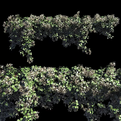 Modern Vine Climbing Vine 3d model