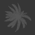 Tall Palm Tree With Rough Trunk Lush Green Fronds And Person Silhouette
