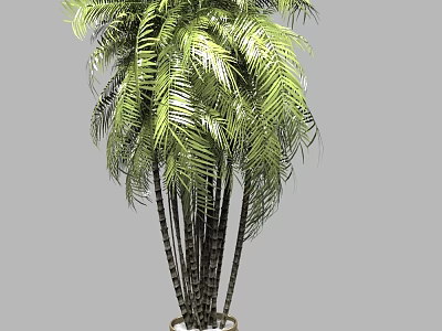Tall Potted Plant With Multiple Trunks And Long Green Leaves In Decorative Pot 3d model