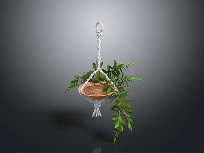 Hanging Potted Plant With Lush Green Leaves In Macramé Rope Hanger 3d model