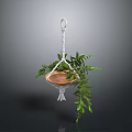 Hanging Potted Plant With Lush Green Leaves In Macramé Rope Hanger
