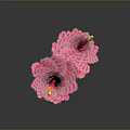 Two Pink Flower Like Plants With Layered Petals Green Stems And Yellow Tips