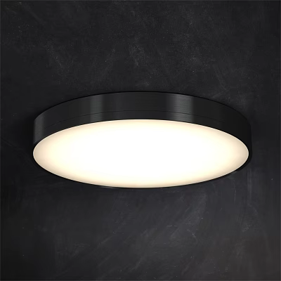 Modern Round Ceiling Light With Black Frame And White Illumination Mounted On Dark Ceiling 3d model