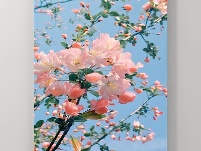 Blooming Pink Flower Branches Scenic Landscape Against Clear Blue Sky 3d model