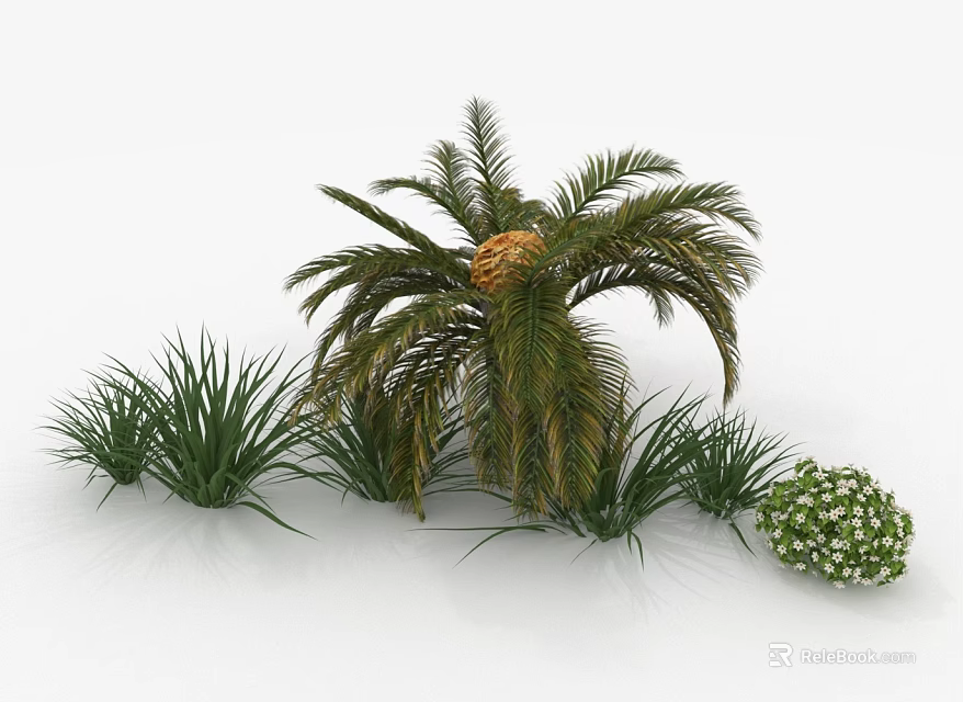 Lush Palm Tree Surrounded by Green Grass and White Flower Cluster 3d model 