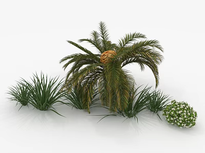 Lush Palm Tree Surrounded by Green Grass and White Flower Cluster 3d model
