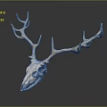 Deer Skull With Antlers And Detailed Bone Structure Against Dark Background