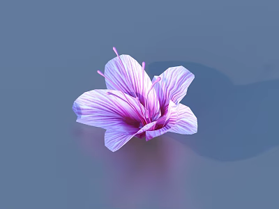 Purple Flower With Striped Petals On Light Blue Background And Reflection 3d model